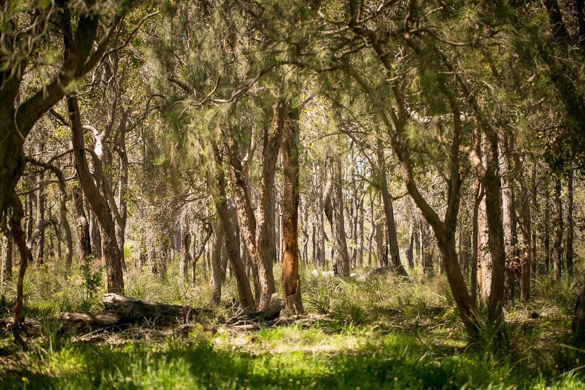 Wyadup Brook Cottages Yallingup Luaran gambar